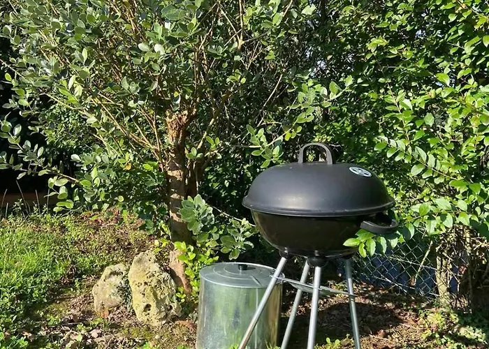 Con Jardin Y Parking Privado Apartment Usúrbil